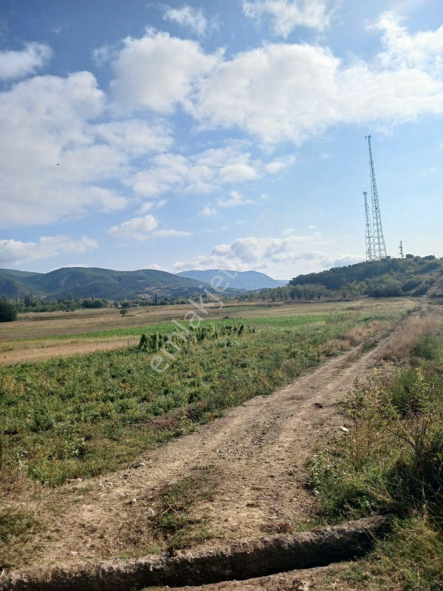Tokat Bizim Emlaktan Satılık Bahçe — fotoğraf 4