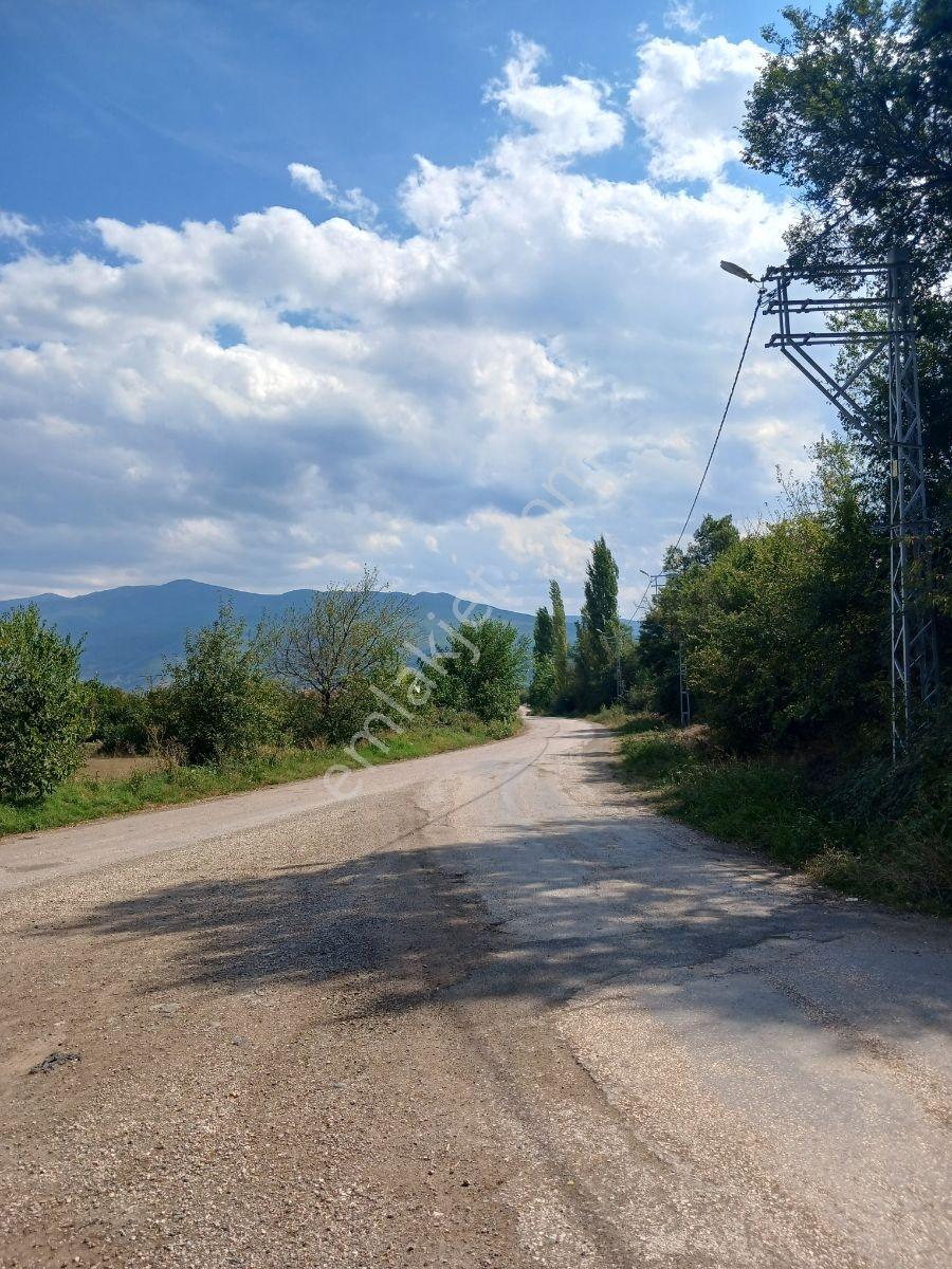 Tokat Bizim Emlaktan Satılık Bahçe — fotoğraf 5