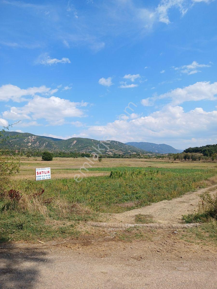 Tokat Bizim Emlaktan Satılık Bahçe — fotoğraf 6