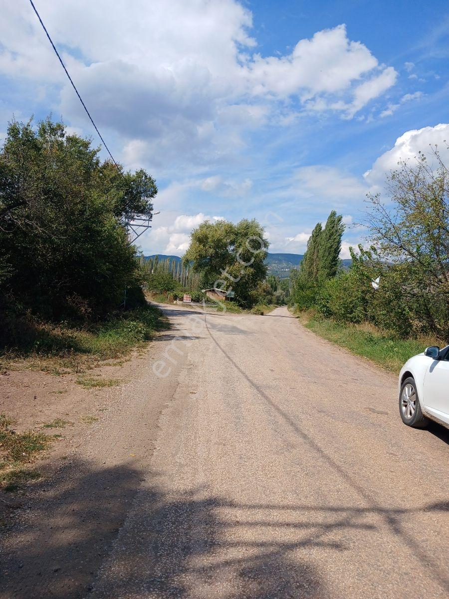 Tokat Bizim Emlaktan Satılık Bahçe — fotoğraf 7