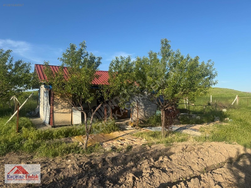 Kaçmaz Emlak'tan Merkez Avcılı Da 3.823m2 Hazır Bahçe — fotoğraf 6