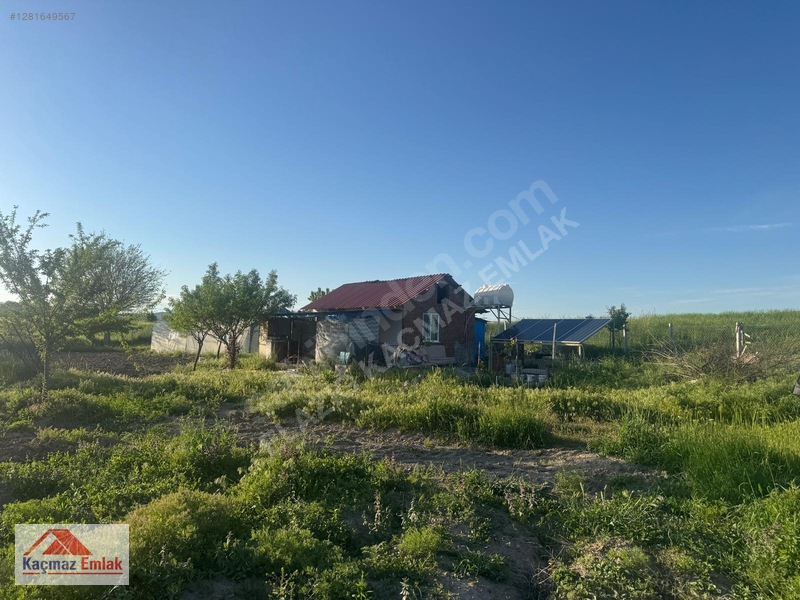 Kaçmaz Emlak'tan Merkez Avcılı Da 3.823m2 Hazır Bahçe — fotoğraf 8