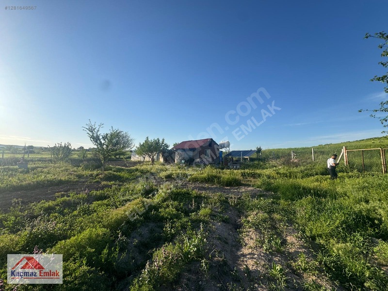 Kaçmaz Emlak'tan Merkez Avcılı Da 3.823m2 Hazır Bahçe — fotoğraf 14