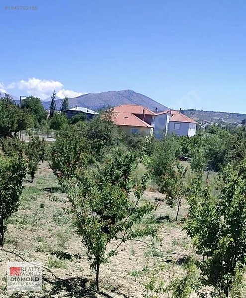 Korkuteli Süleklerde Satılık 1625 M2 Hisse — fotoğraf 2