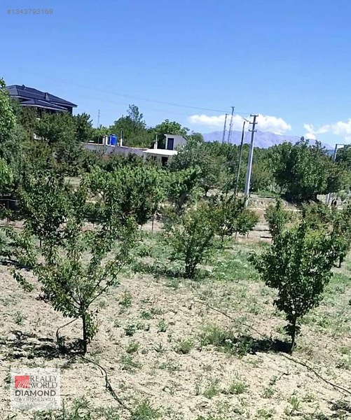 Korkuteli Süleklerde Satılık 1625 M2 Hisse — fotoğraf 3