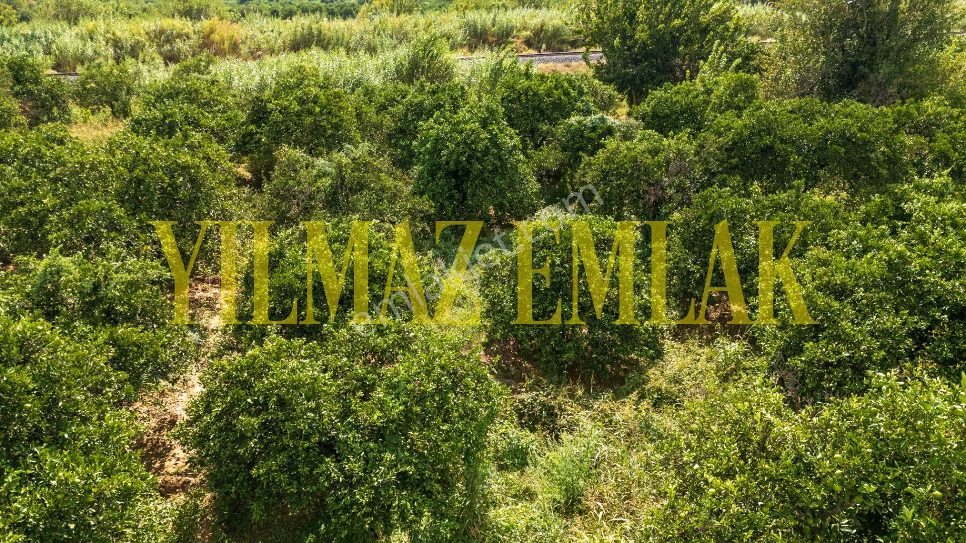 Nazilli Hamzallı'da Satılık 5897 M² Narenciye Bahçesi 2 Adet Parseldir — fotoğraf 6