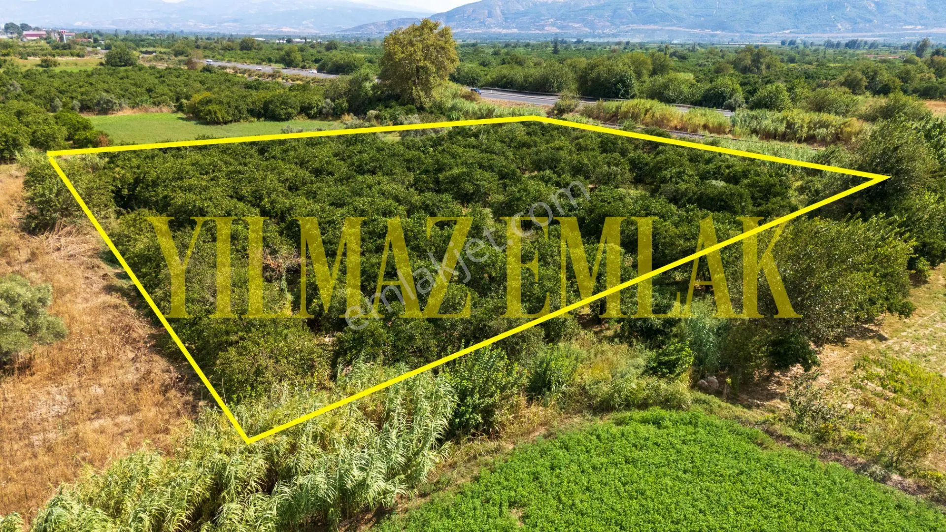 Nazilli Hamzallı'da Satılık 5897 M² Narenciye Bahçesi 2 Adet Parseldir — fotoğraf 7