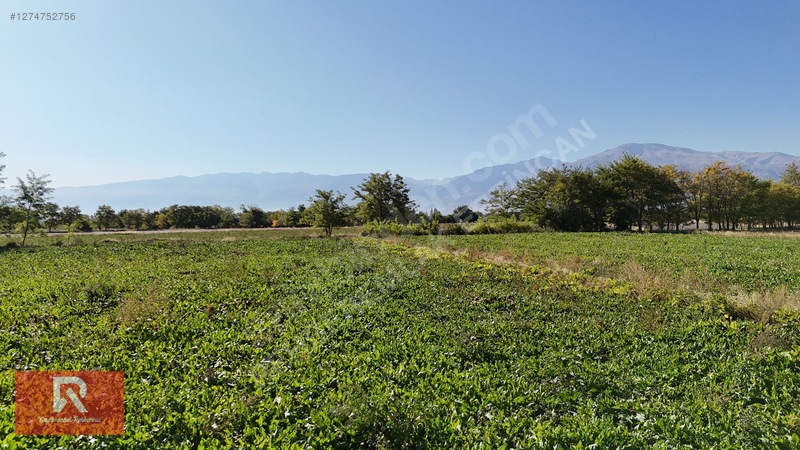Rehber Emlak'tan 4718 M2 Buğdaylı Köyünde Anayol Üzeri Arazi !!! — fotoğraf 13