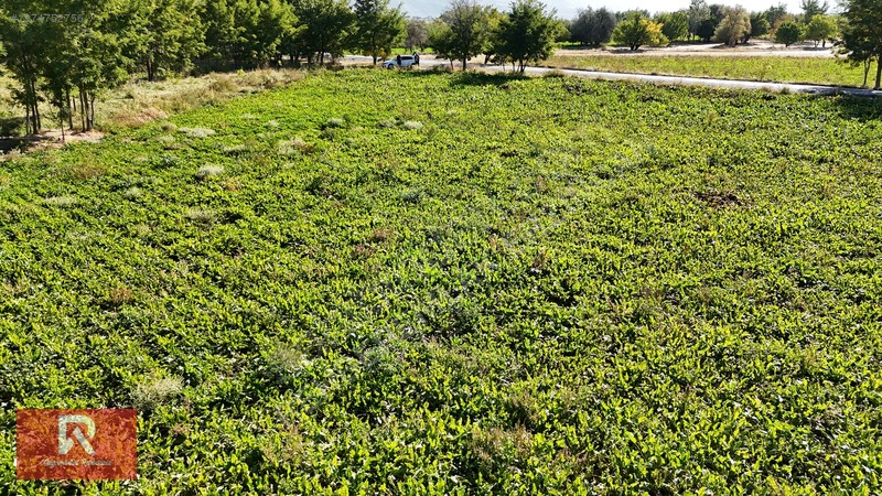 Rehber Emlak'tan 4718 M2 Buğdaylı Köyünde Anayol Üzeri Arazi !!! — fotoğraf 19
