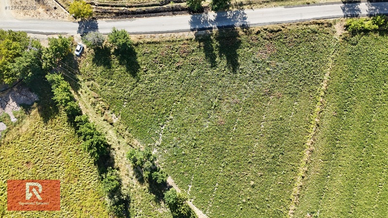 Rehber Emlak'tan 4718 M2 Buğdaylı Köyünde Anayol Üzeri Arazi !!! — fotoğraf 20