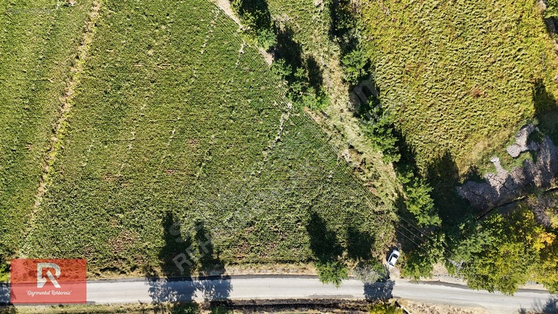 Rehber Emlak'tan 4718 M2 Buğdaylı Köyünde Anayol Üzeri Arazi !!! — fotoğraf 21