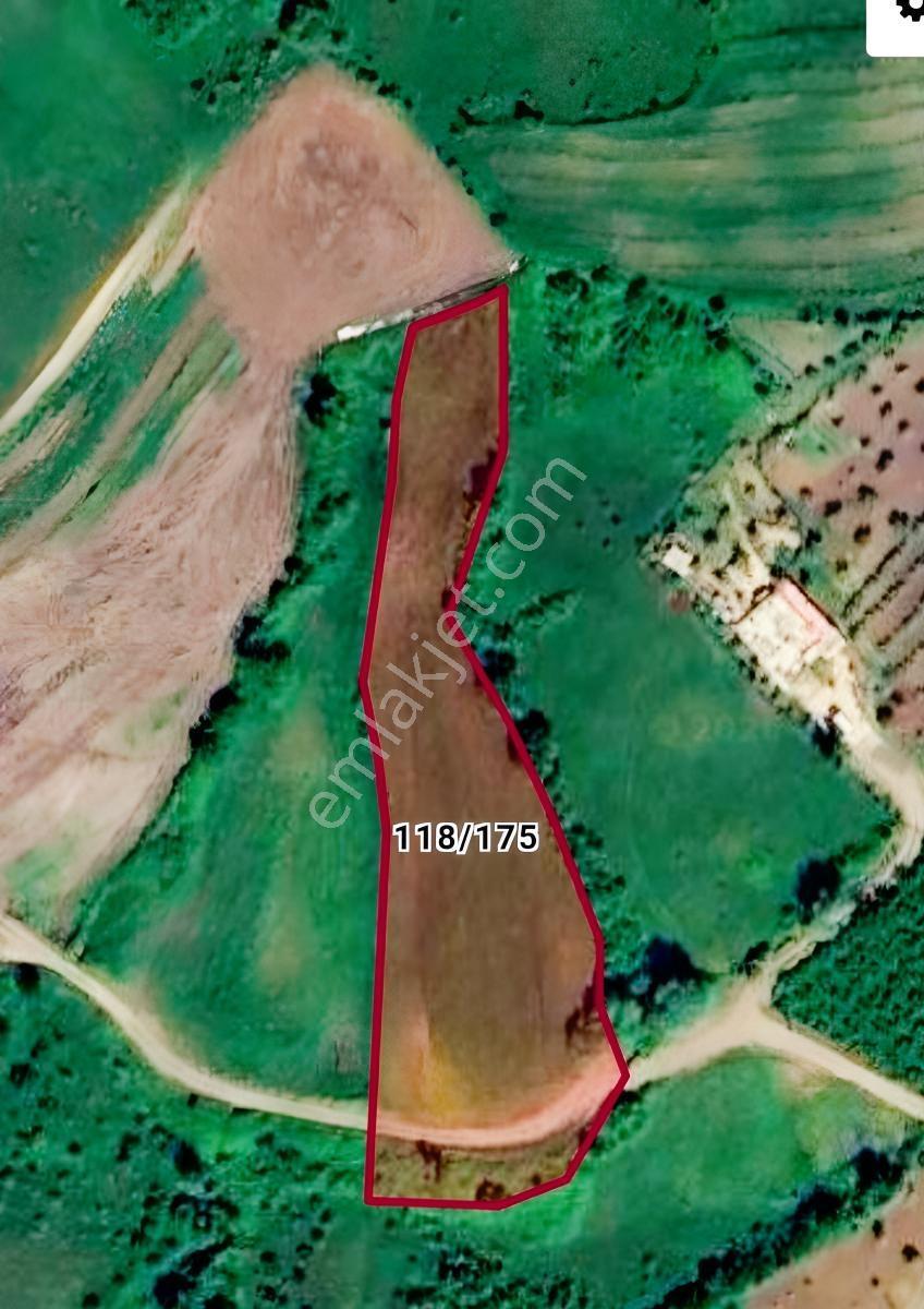 Akalan Köyünde Satılık Tarla