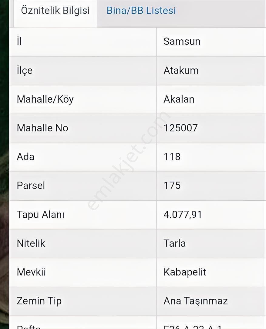 Akalan Köyünde Satılık Tarla — fotoğraf 2