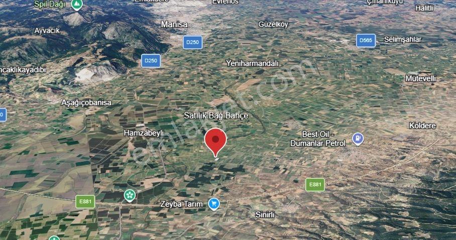 Gümülceli'de | Damla Sulama Sistemli | Yolu Olan Tam Verimde Bağ — fotoğraf 2