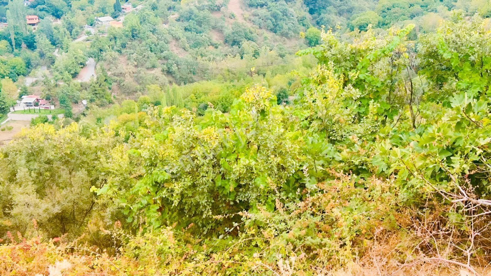 Babadağ Cumhuriyet Mahallesinde Satılık 1417 M2 İmarlı Arsa — fotoğraf 5