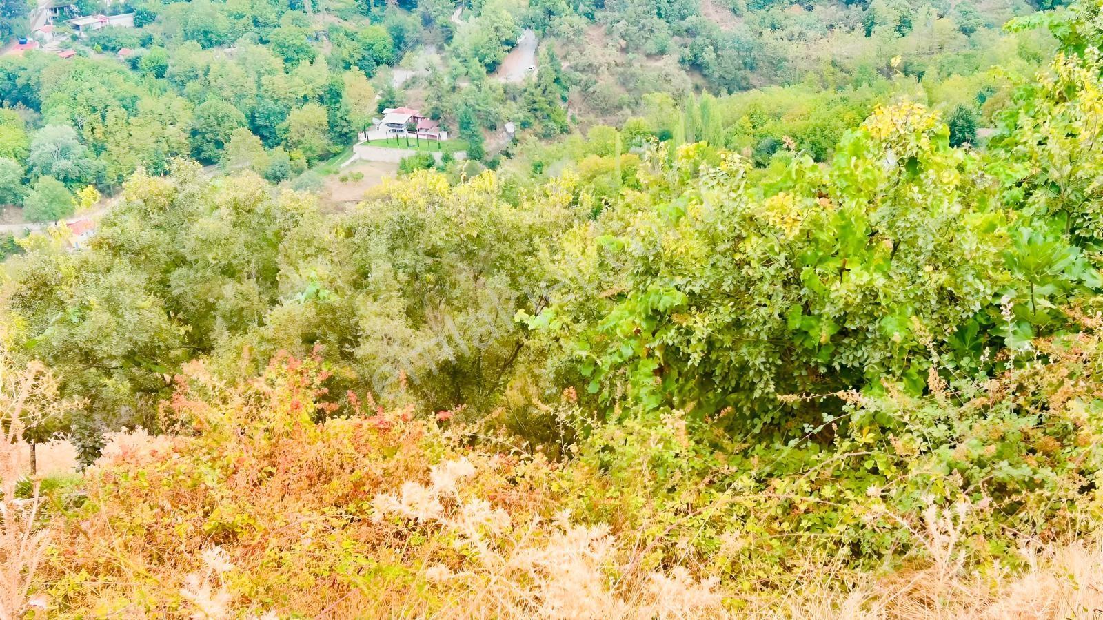 Babadağ Cumhuriyet Mahallesinde Satılık 1417 M2 İmarlı Arsa — fotoğraf 6