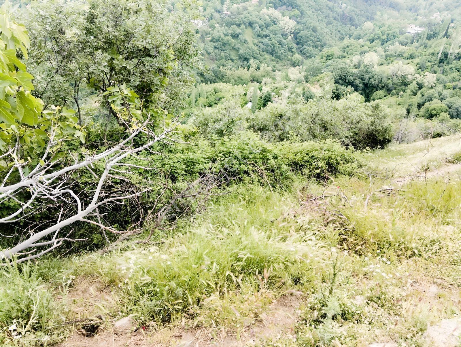 Babadağ Cumhuriyet Mahallesinde Satılık 1417 M2 İmarlı Arsa — fotoğraf 25