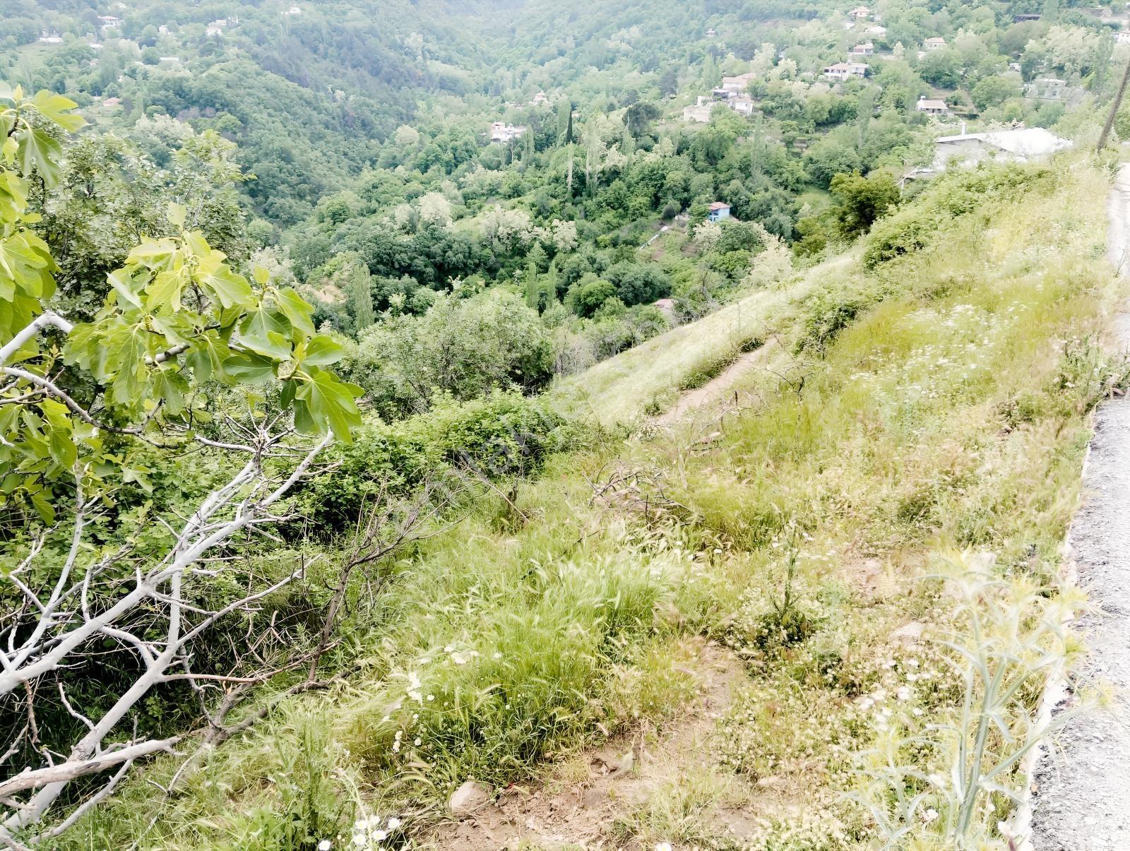 Babadağ Cumhuriyet Mahallesinde Satılık 1417 M2 İmarlı Arsa — fotoğraf 26