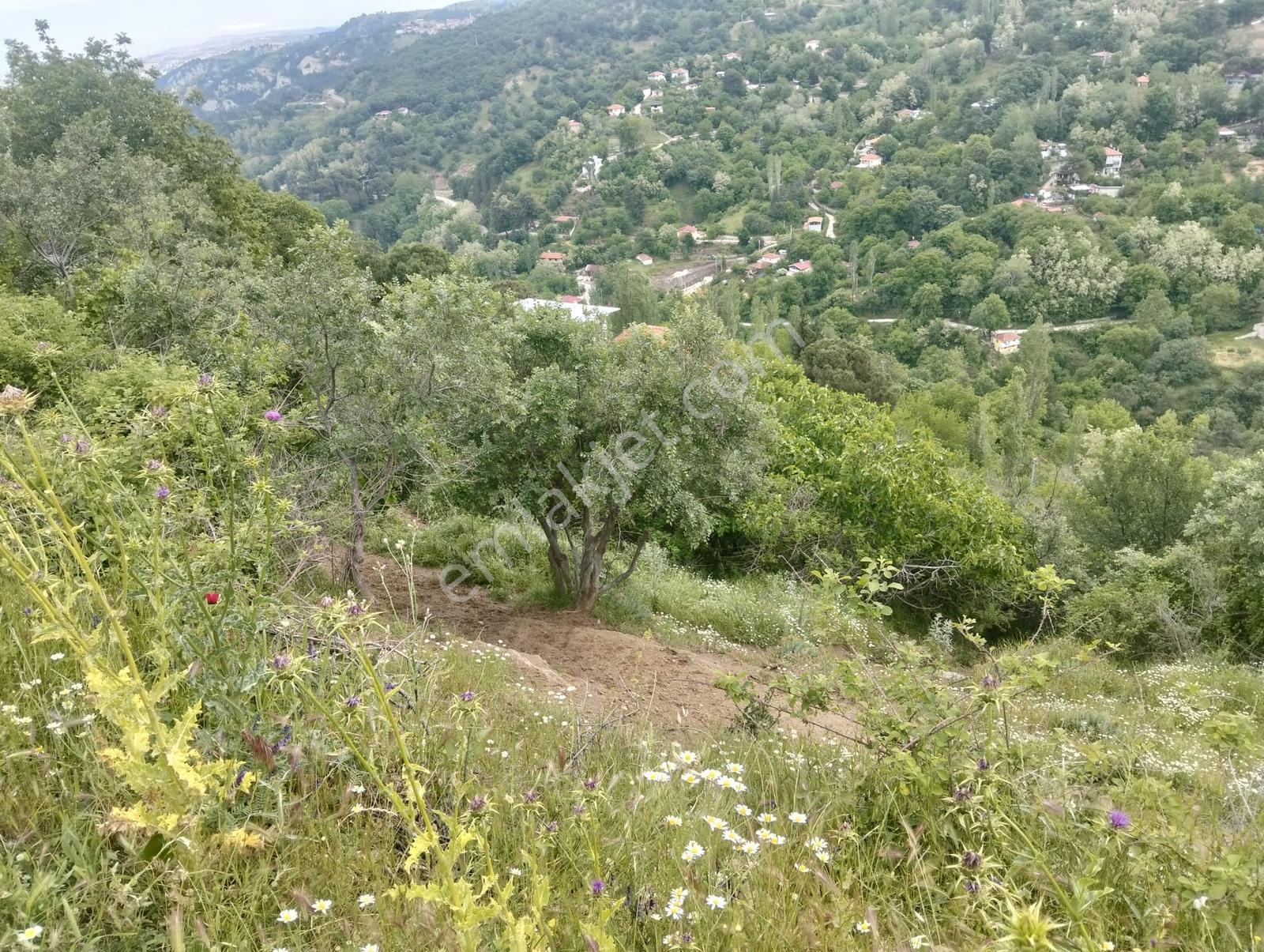 Babadağ Cumhuriyet Mahallesinde Satılık 1417 M2 İmarlı Arsa — fotoğraf 33
