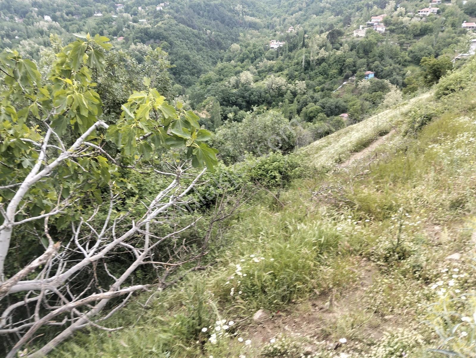 Babadağ Cumhuriyet Mahallesinde Satılık 1417 M2 İmarlı Arsa — fotoğraf 34