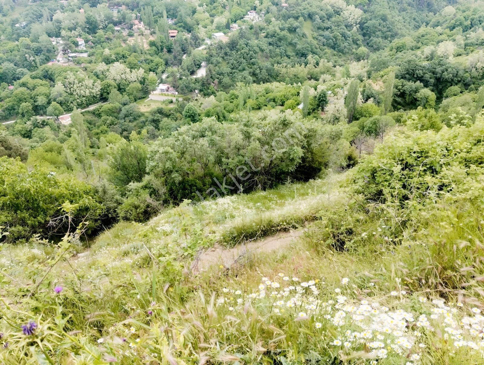 Babadağ Cumhuriyet Mahallesinde Satılık 1417 M2 İmarlı Arsa — fotoğraf 37