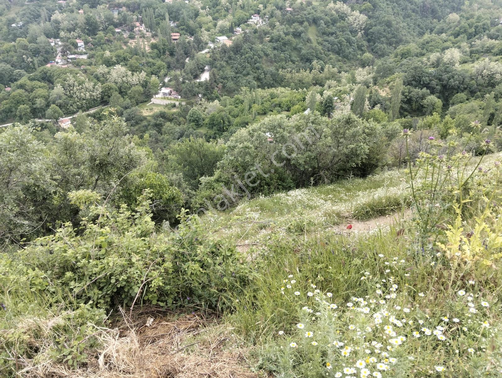 Babadağ Cumhuriyet Mahallesinde Satılık 1417 M2 İmarlı Arsa — fotoğraf 38