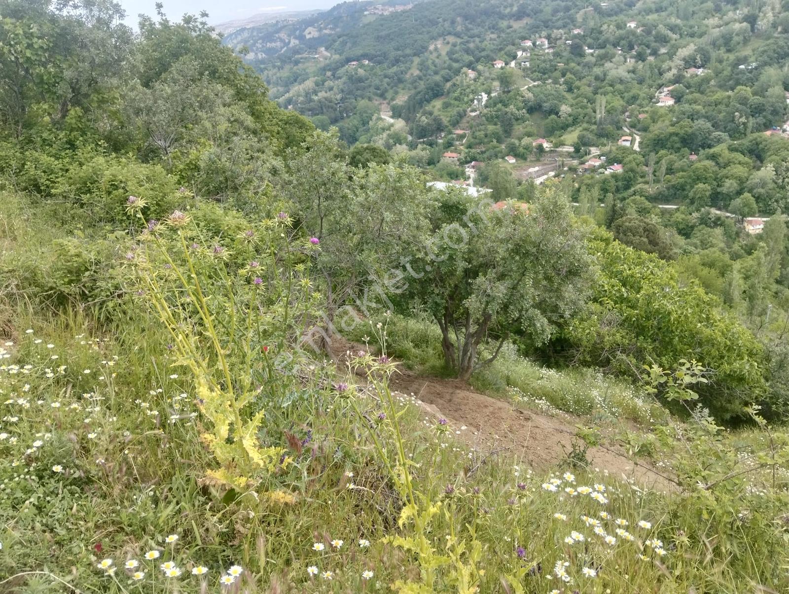 Babadağ Cumhuriyet Mahallesinde Satılık 1417 M2 İmarlı Arsa — fotoğraf 39