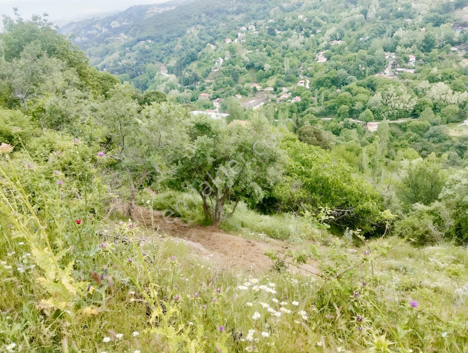 Babadağ Cumhuriyet Mahallesinde Satılık 1417 M2 İmarlı Arsa — fotoğraf 40