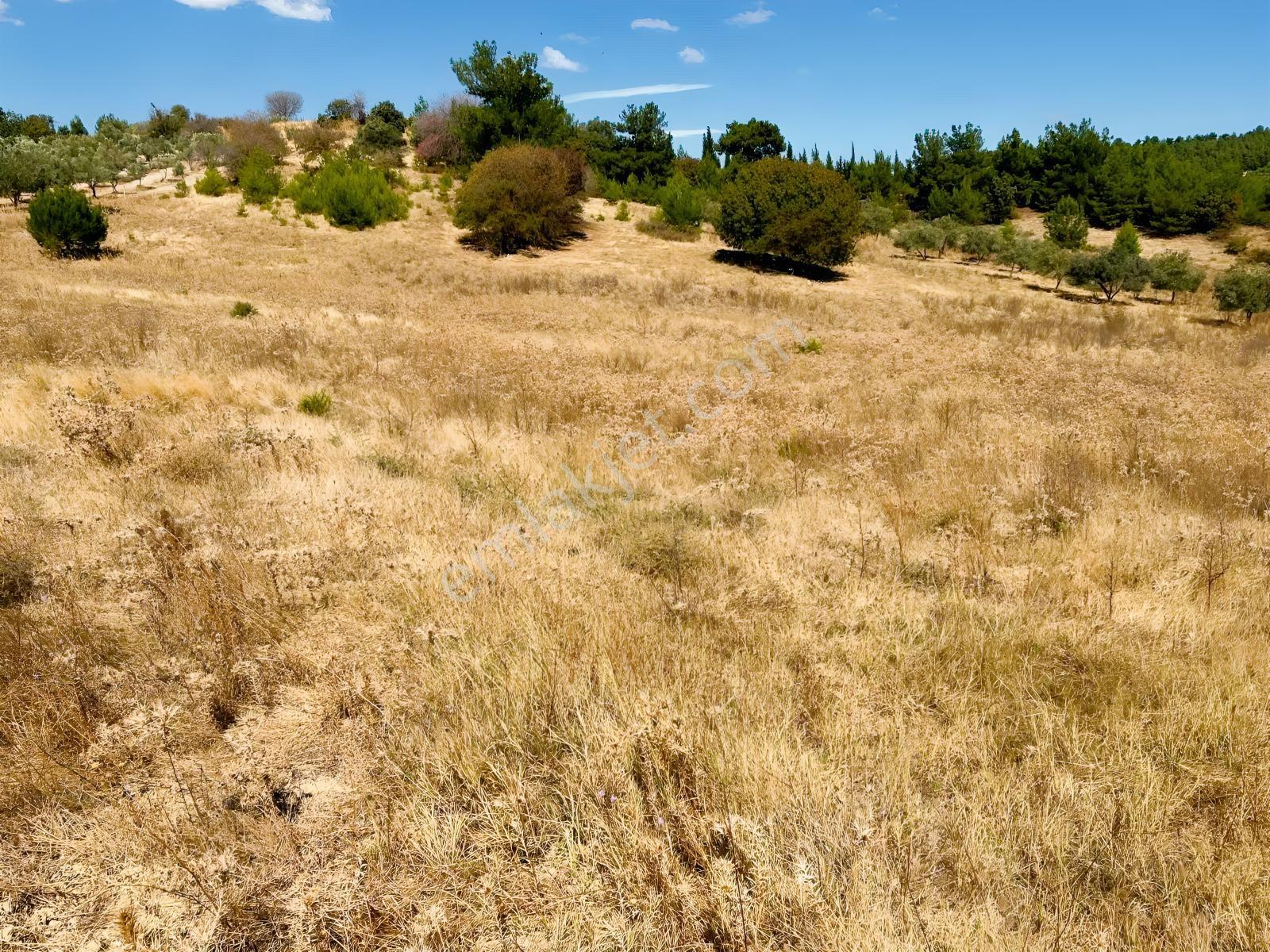 Manisa Yunusemre Mahallesinde Villa İmarlı Arsa — fotoğraf 4