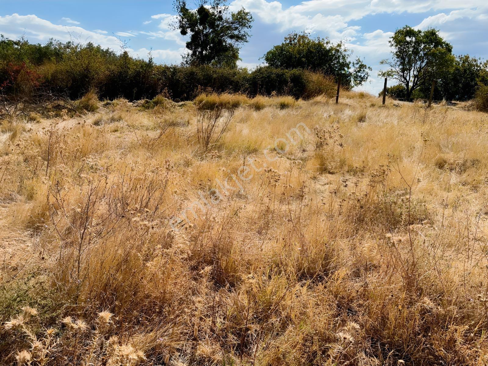 Manisa Yunusemre Mahallesinde Villa İmarlı Arsa — fotoğraf 5