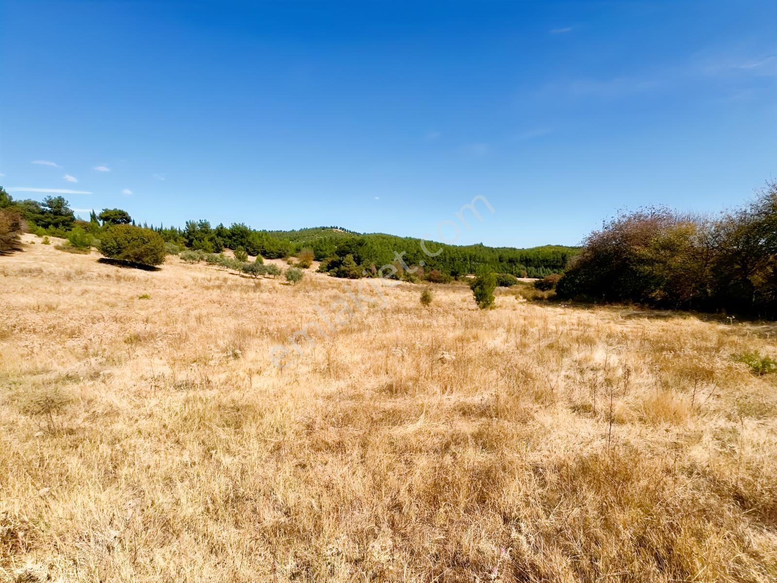Manisa Yunusemre Mahallesinde Villa İmarlı Arsa — fotoğraf 7