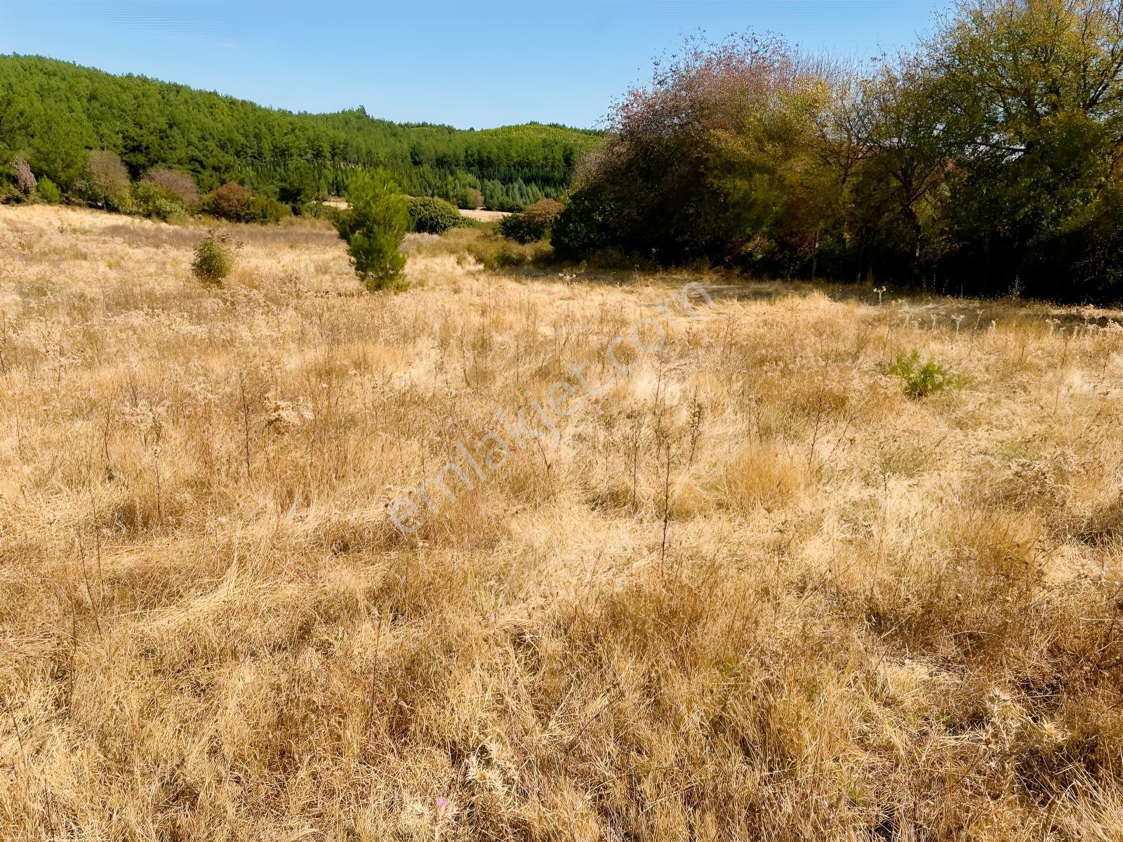 Manisa Yunusemre Mahallesinde Villa İmarlı Arsa — fotoğraf 8