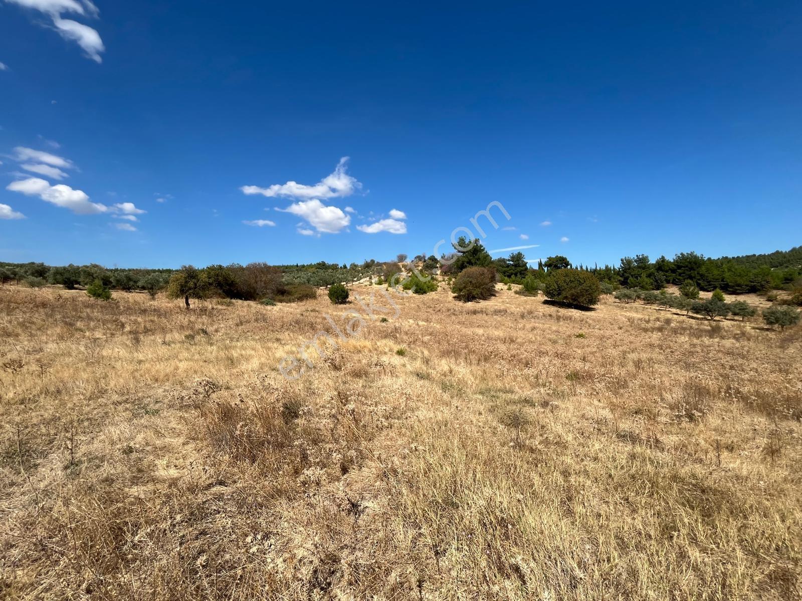Manisa Yunusemre Mahallesinde Villa İmarlı Arsa — fotoğraf 10