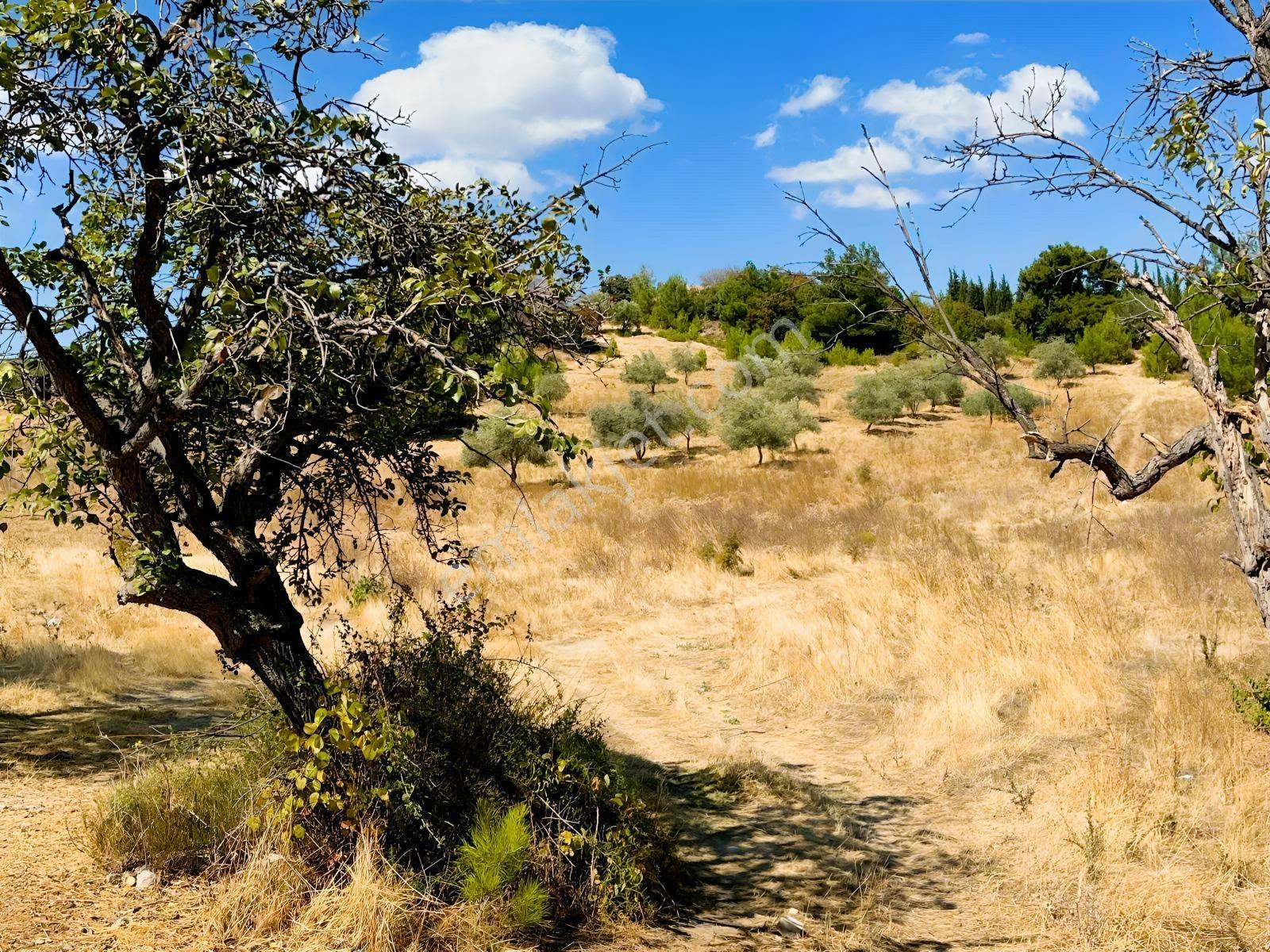 Manisa Yunusemre Mahallesinde Villa İmarlı Arsa — fotoğraf 15