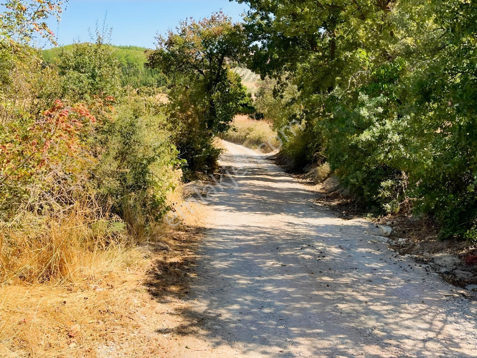 Manisa Yunusemre Mahallesinde Villa İmarlı Arsa — fotoğraf 16