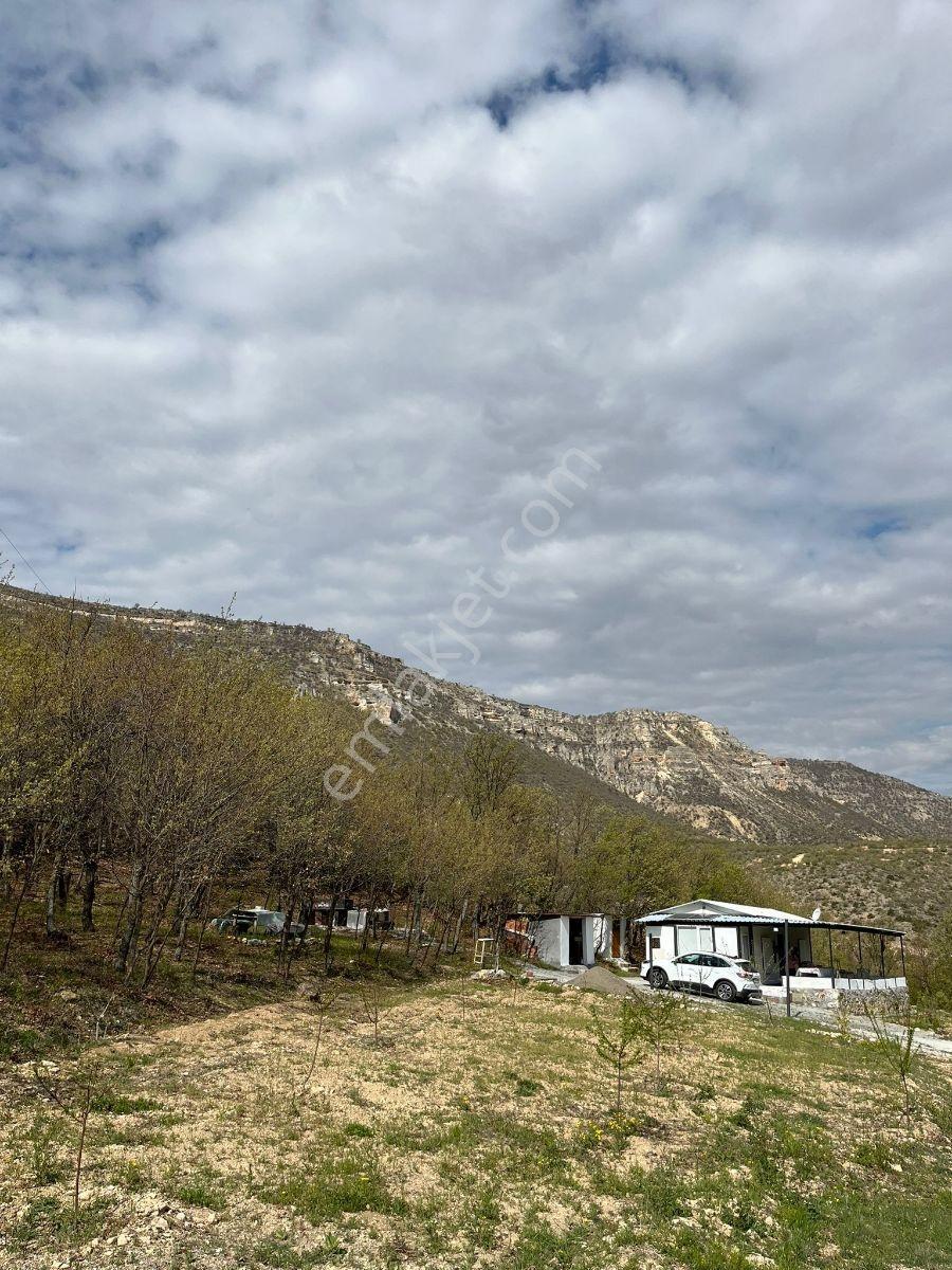 Akçadağ Kadıibrahimde Satılık Bahçe — fotoğraf 7