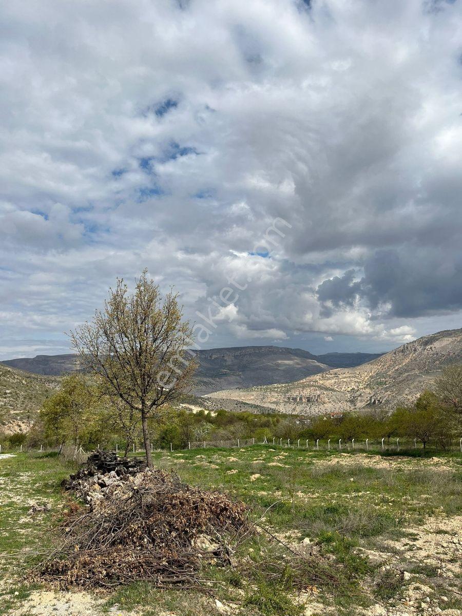 Akçadağ Kadıibrahimde Satılık Bahçe — fotoğraf 18