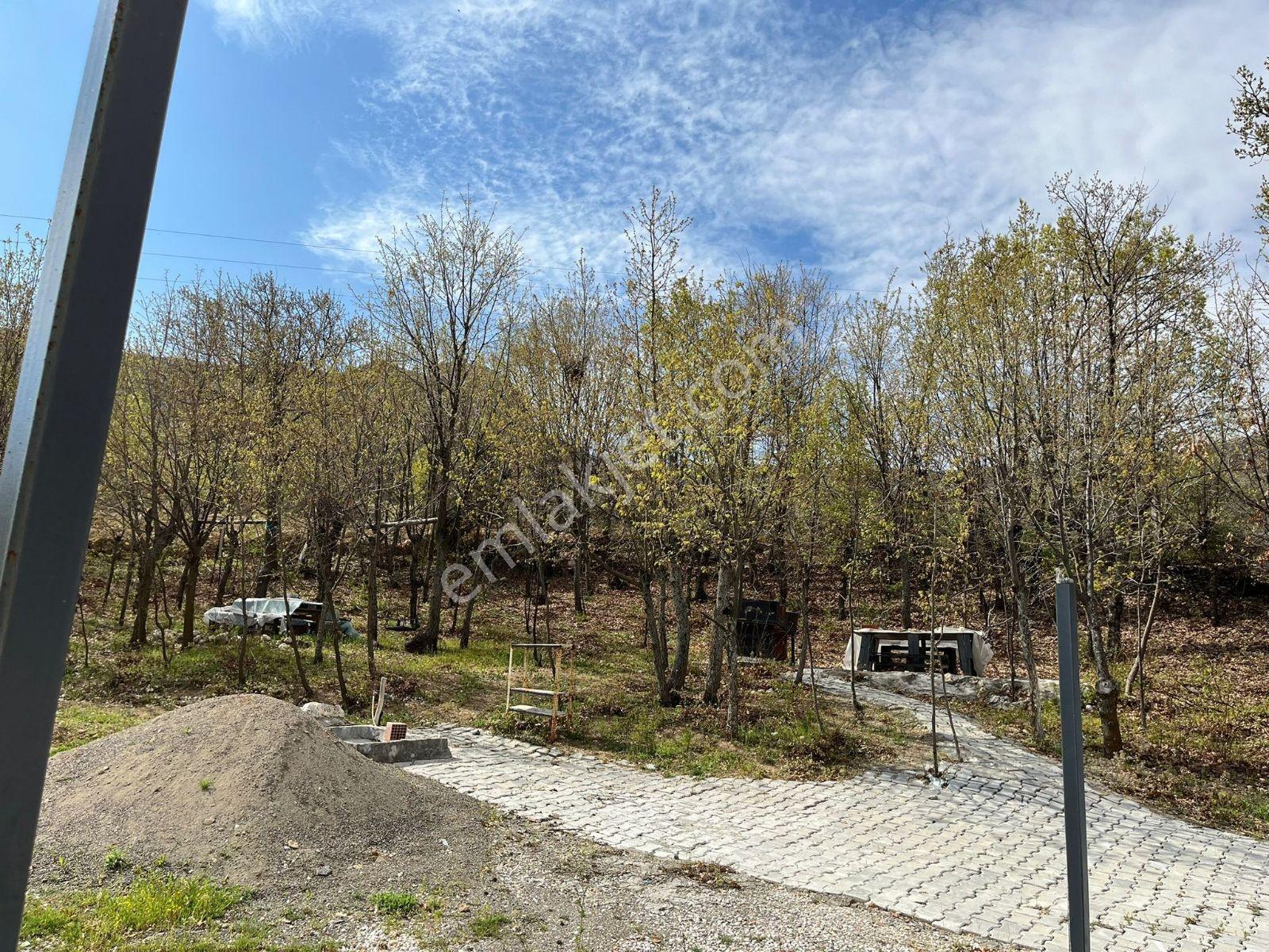 Akçadağ Kadıibrahimde Satılık Bahçe — fotoğraf 21