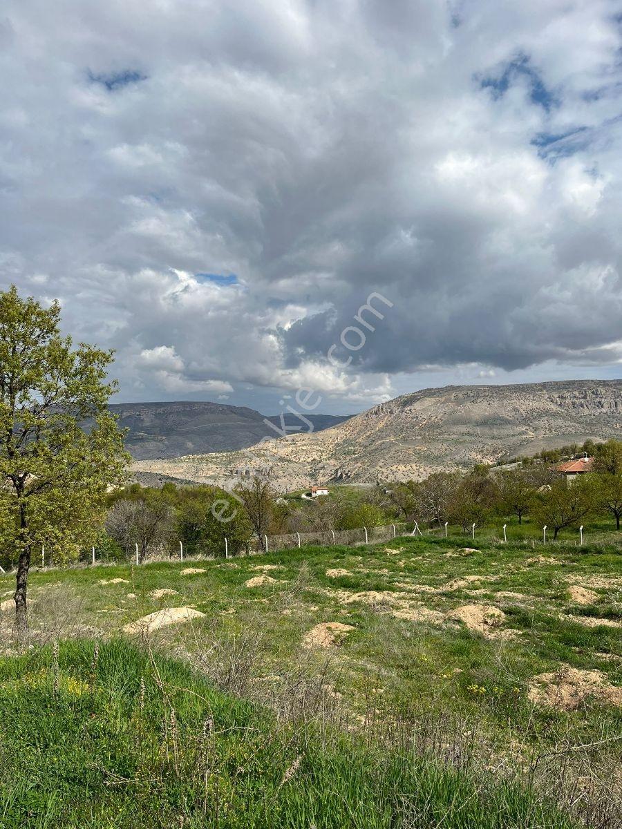 Akçadağ Kadıibrahimde Satılık Bahçe — fotoğraf 24