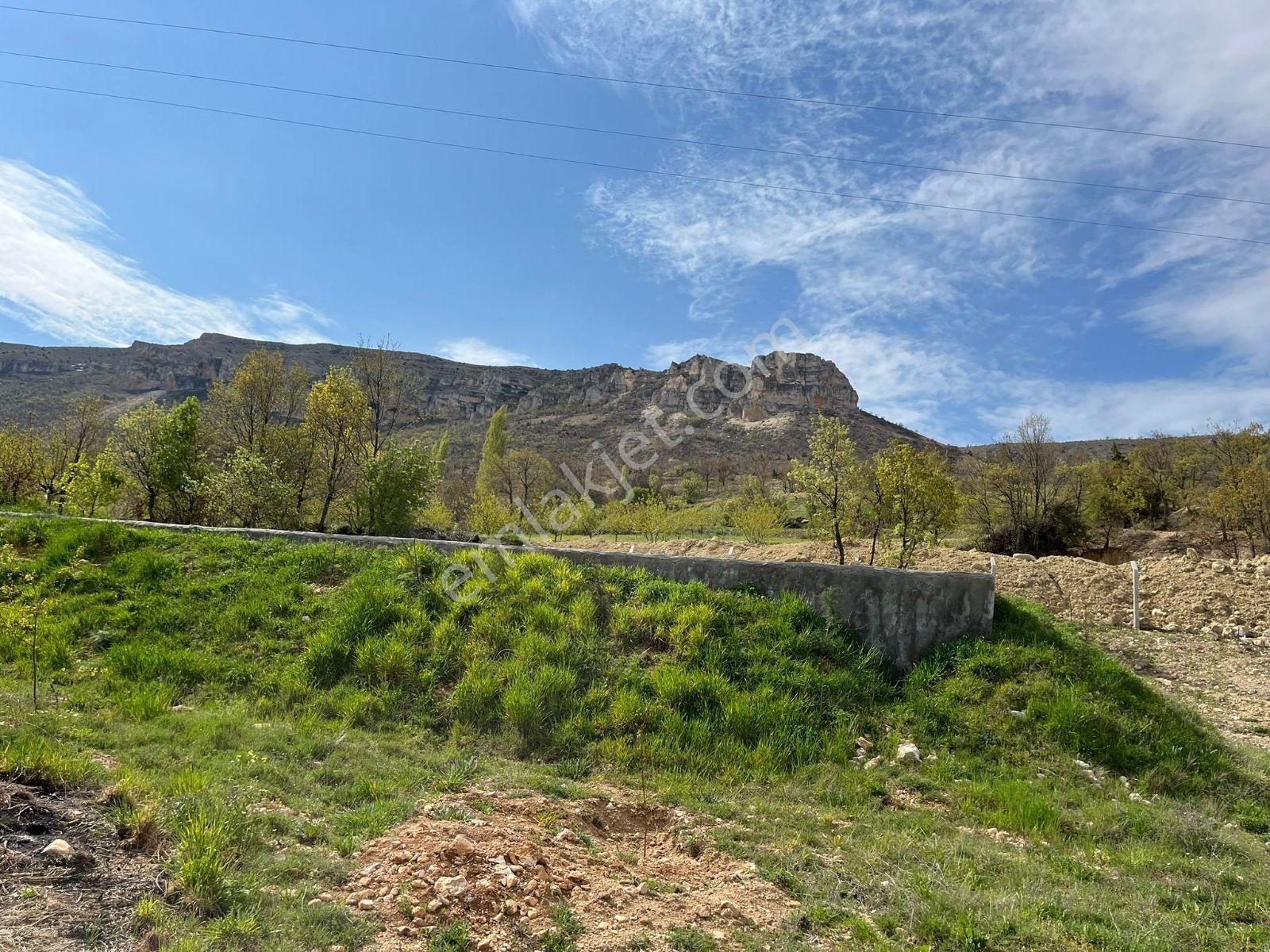 Akçadağ Kadıibrahimde Satılık Bahçe — fotoğraf 32