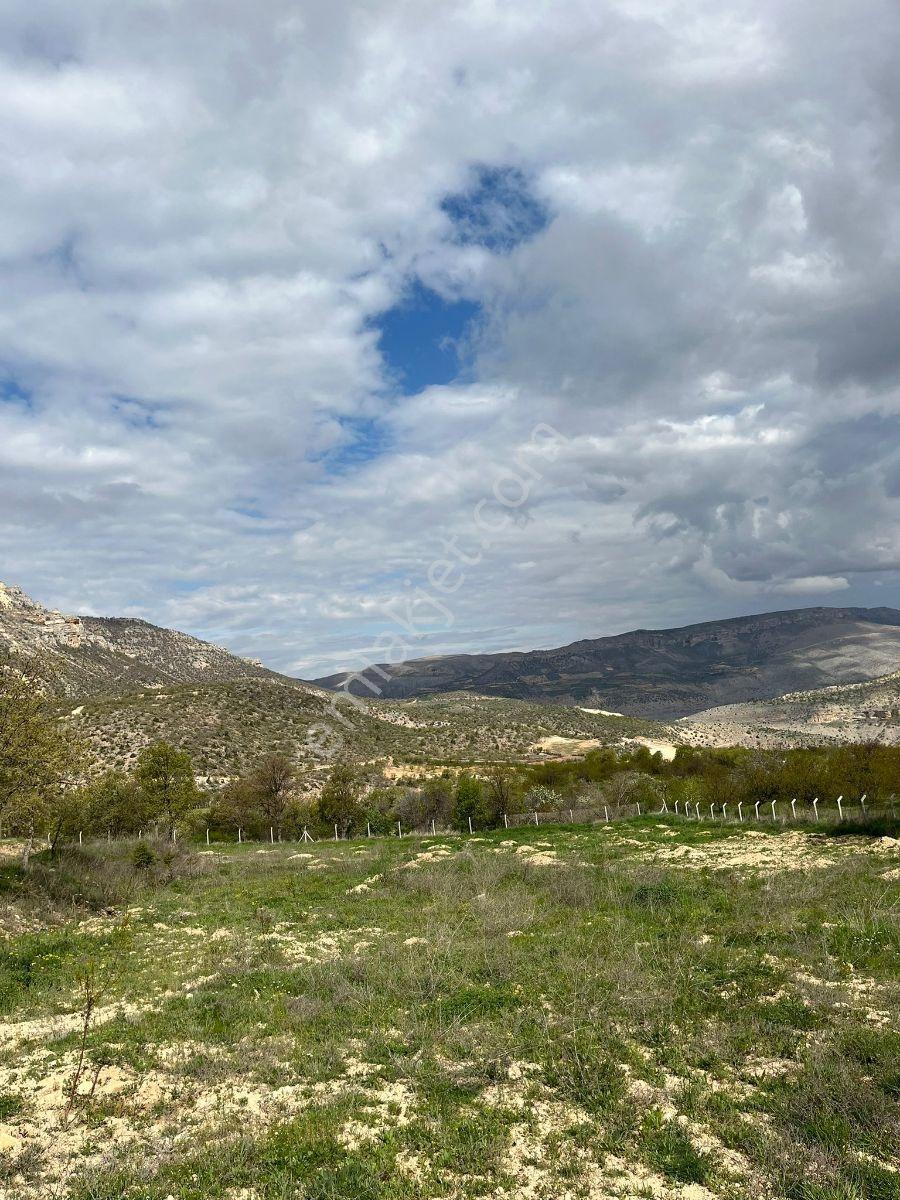 Akçadağ Kadıibrahimde Satılık Bahçe — fotoğraf 33