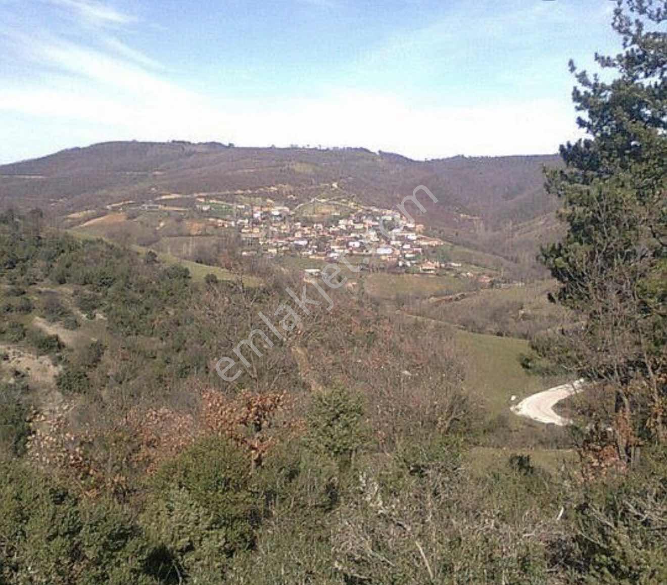 Çanakkale Lapseki Dumanlı Akarsuya Ve Kadastrol Yol Yanı 2259 M2