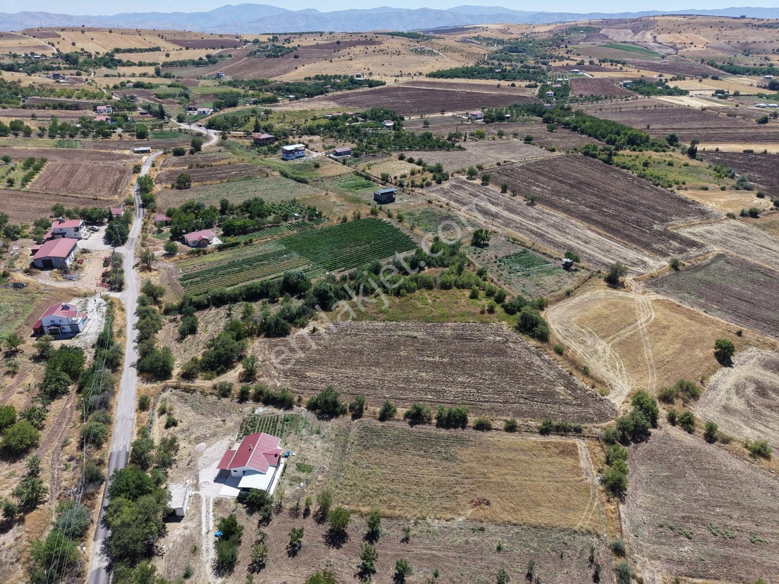 Aşağı Holpenk (demirtaş) Mevkiinde Yolu Asfalt Yatırım Fırsatı — fotoğraf 3