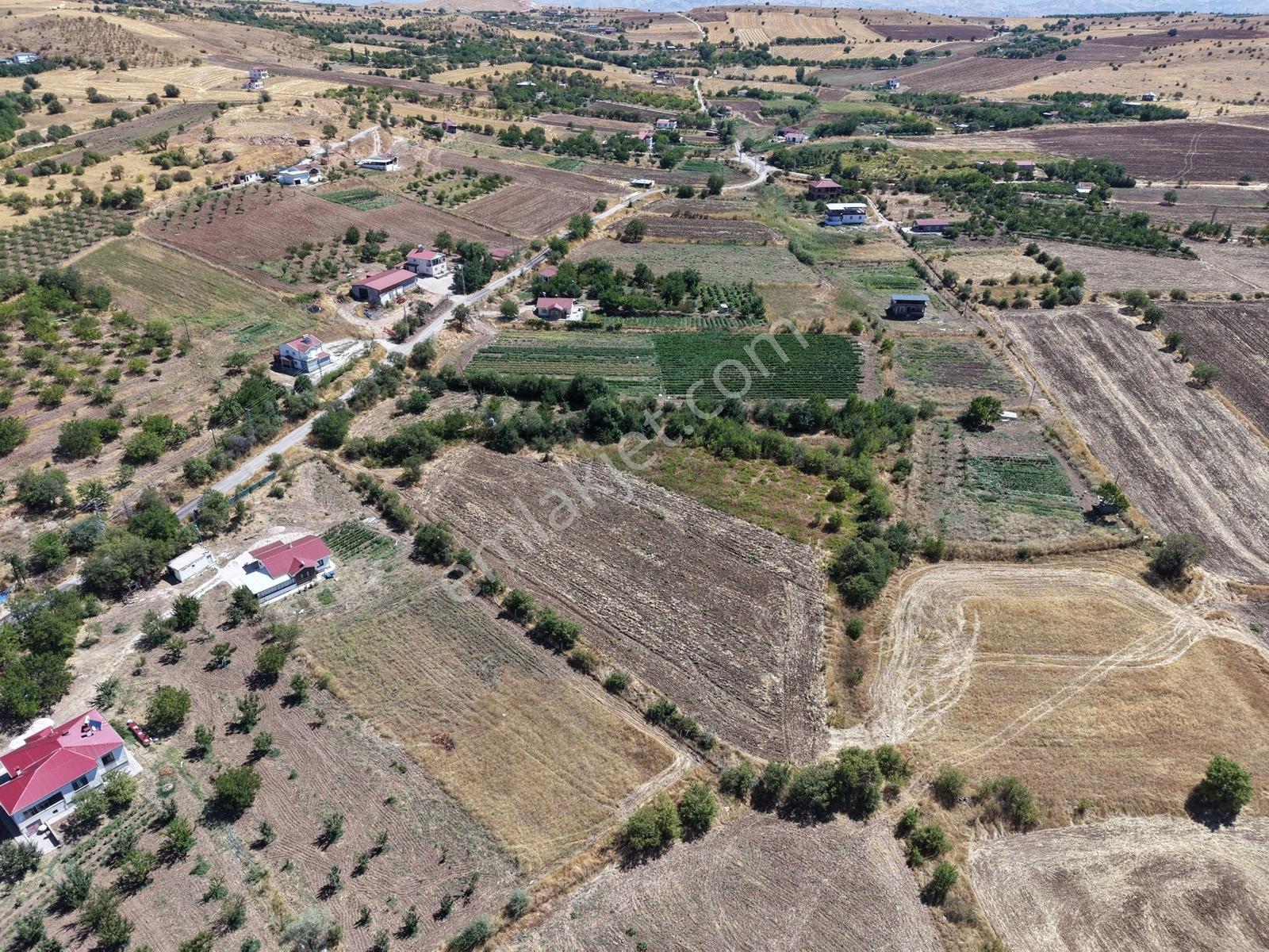 Aşağı Holpenk (demirtaş) Mevkiinde Yolu Asfalt Yatırım Fırsatı — fotoğraf 4