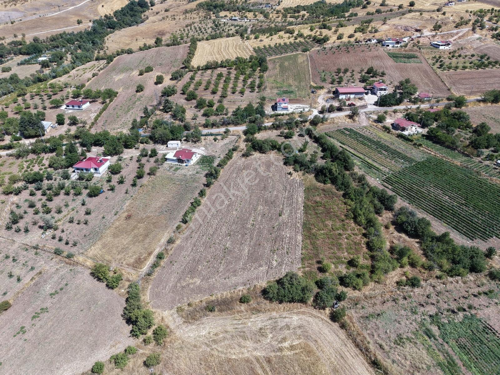 Aşağı Holpenk (demirtaş) Mevkiinde Yolu Asfalt Yatırım Fırsatı — fotoğraf 5