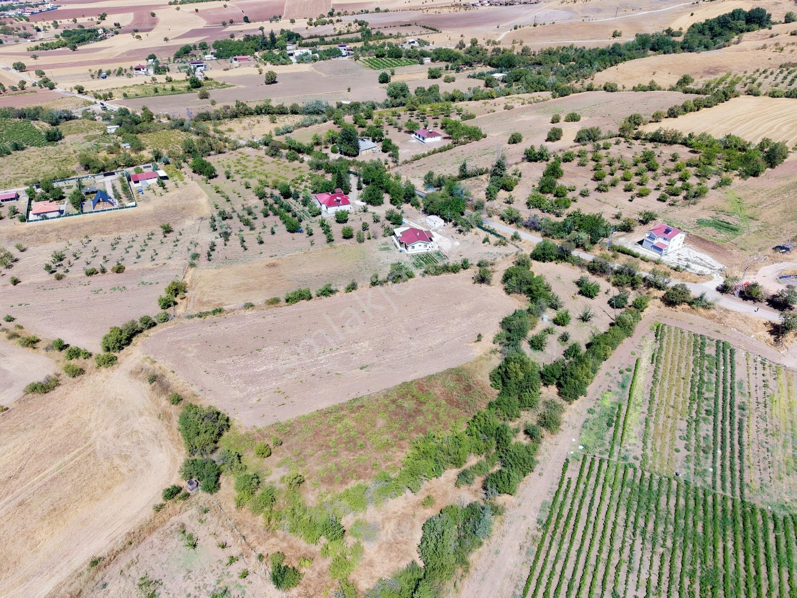 Aşağı Holpenk (demirtaş) Mevkiinde Yolu Asfalt Yatırım Fırsatı — fotoğraf 6