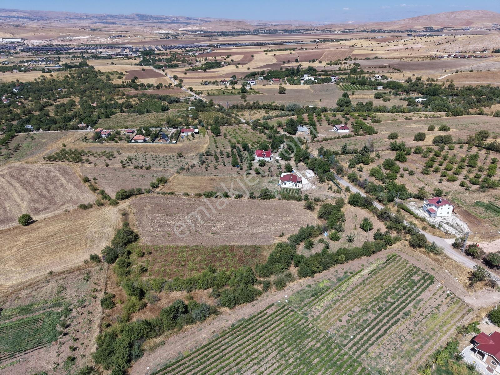 Aşağı Holpenk (demirtaş) Mevkiinde Yolu Asfalt Yatırım Fırsatı — fotoğraf 7