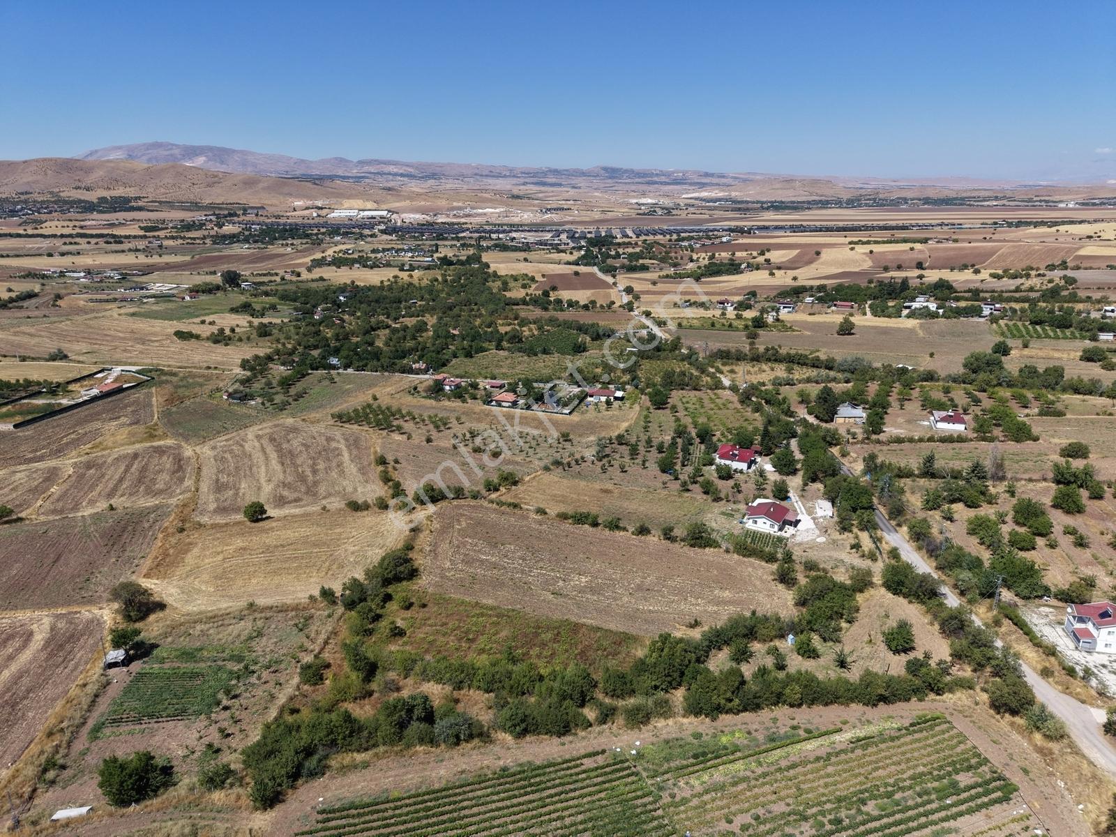 Aşağı Holpenk (demirtaş) Mevkiinde Yolu Asfalt Yatırım Fırsatı — fotoğraf 8