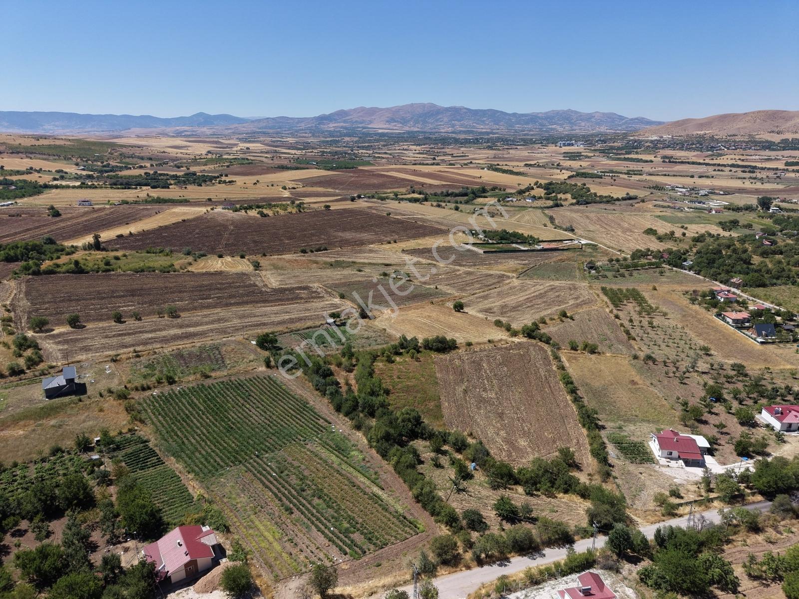 Aşağı Holpenk (demirtaş) Mevkiinde Yolu Asfalt Yatırım Fırsatı — fotoğraf 10