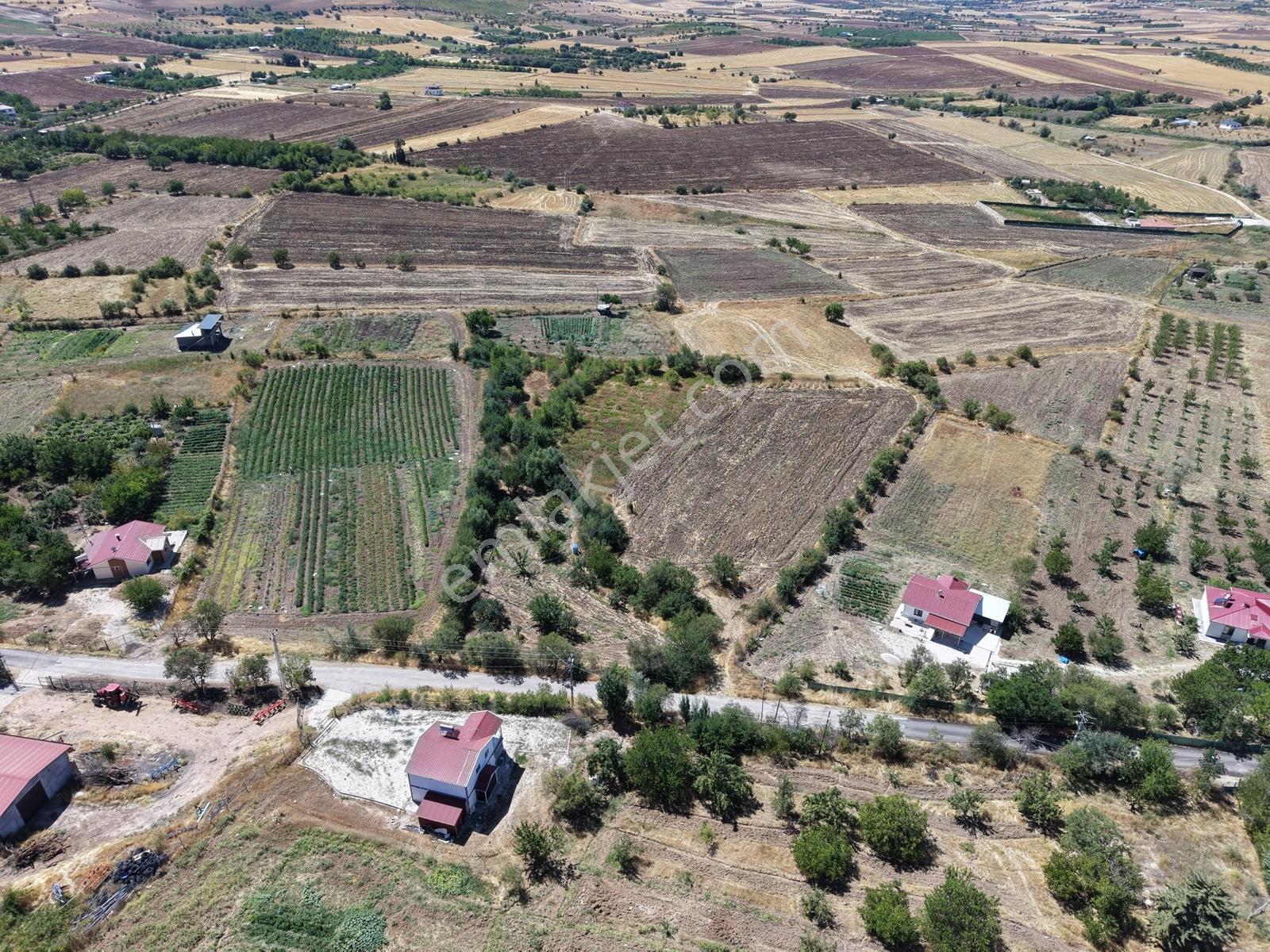 Aşağı Holpenk (demirtaş) Mevkiinde Yolu Asfalt Yatırım Fırsatı — fotoğraf 11